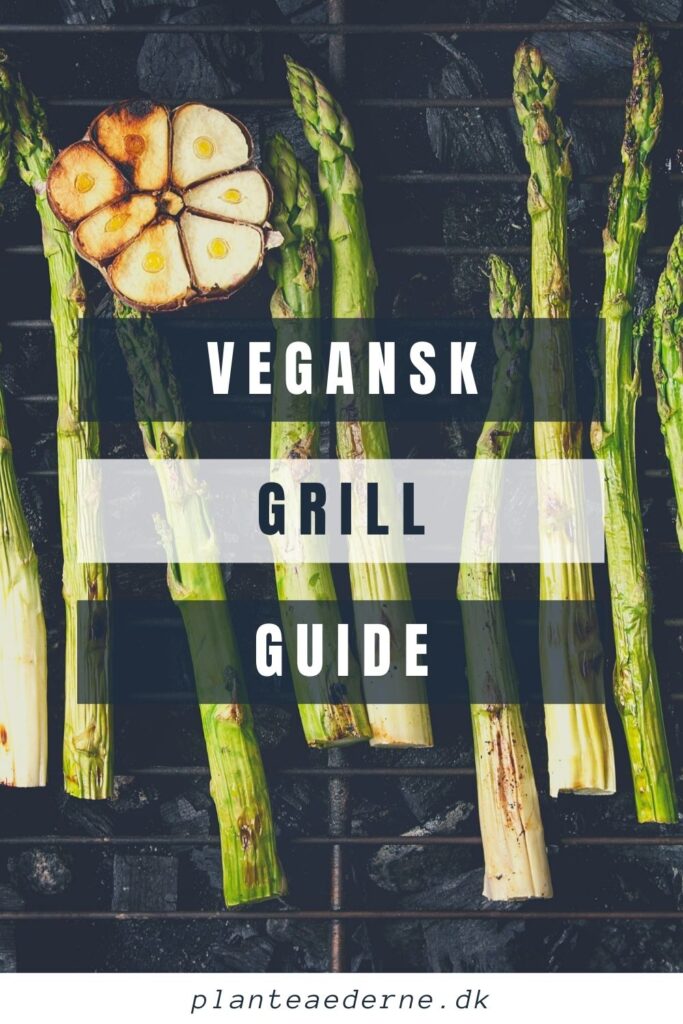 vegansk grill guide pinterest