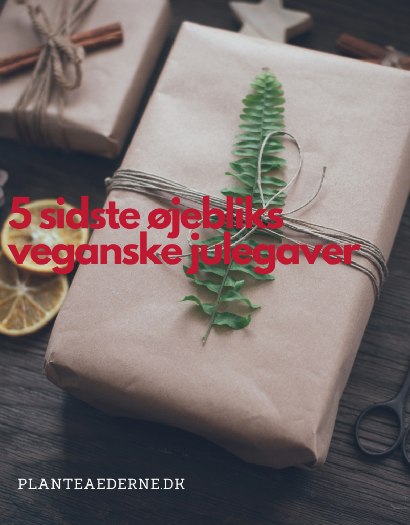 5 sidste øjebliks veganske julegaver